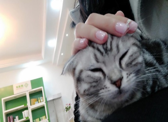 她们长这么好看，还不忘这点谨慎机