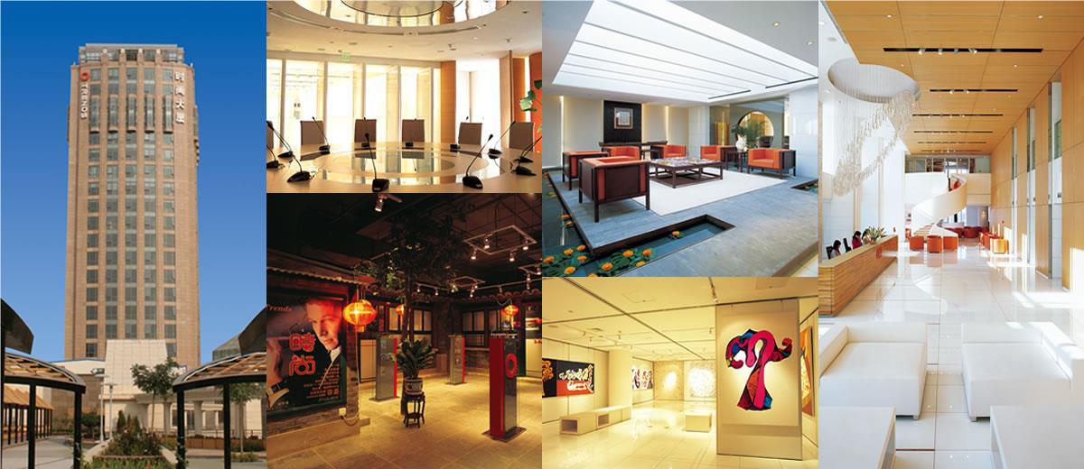 茶语网深度解析,茶语网价格