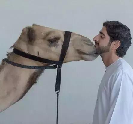 最帅迪拜王子哈曼丹,哈曼丹和威廉王子