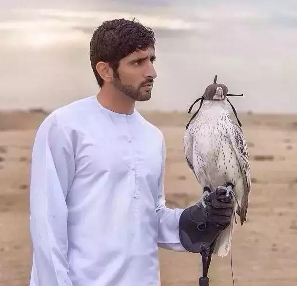 最帅迪拜王子哈曼丹,哈曼丹和威廉王子