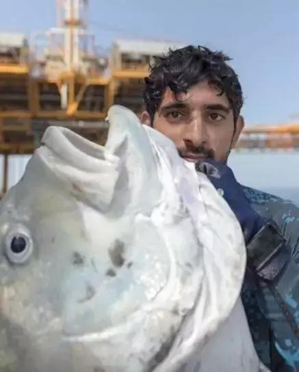 最帅迪拜王子哈曼丹,哈曼丹和威廉王子