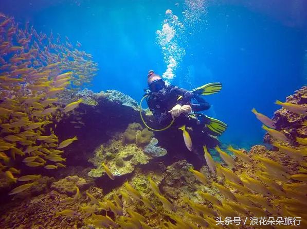 普吉岛深潜深度解析,普吉岛浮潜和深潜有什么区别