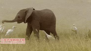 手机掉厕所里了怎么去味,手机掉厕所了该如何处理