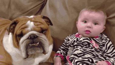 第一次吃肯德基吃到腻,吃肯德基完全感觉不到自己在吃