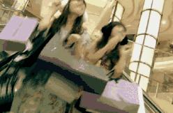 香港购物买表攻略,香港购物指南去香港买什么好