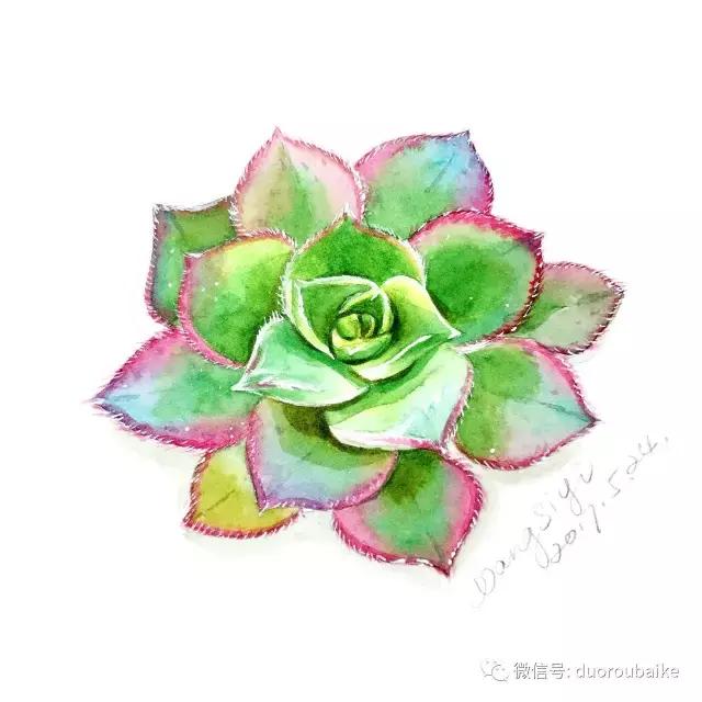 澶氳倝缁樼敾浣滃搧缁勫浘,澶氳倝鎻掔敾浣滃搧娆ｈ祻