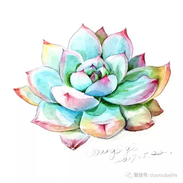 澶氳倝缁樼敾浣滃搧缁勫浘,澶氳倝鎻掔敾浣滃搧娆ｈ祻