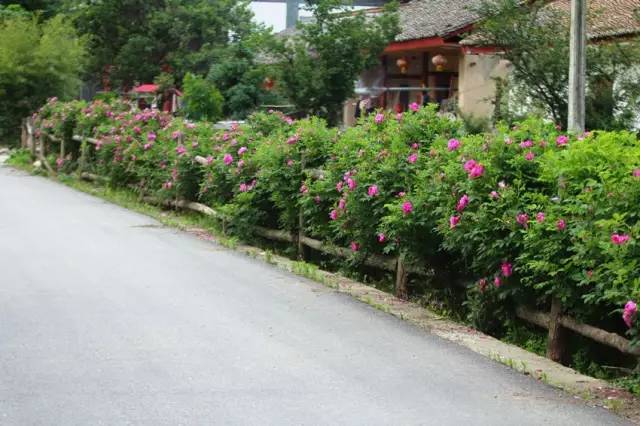 推荐秦岭避暑好去处,秦岭中的避暑胜地