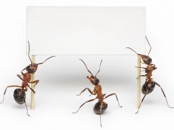 老人常见的皮肤病有哪些,老人脸上长了皮肤癌咋治