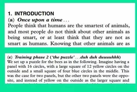 8岁熊孩子,8岁的熊孩子
