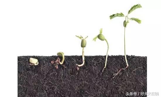 孕期见红是啥样,孕期见红是褐色分泌物