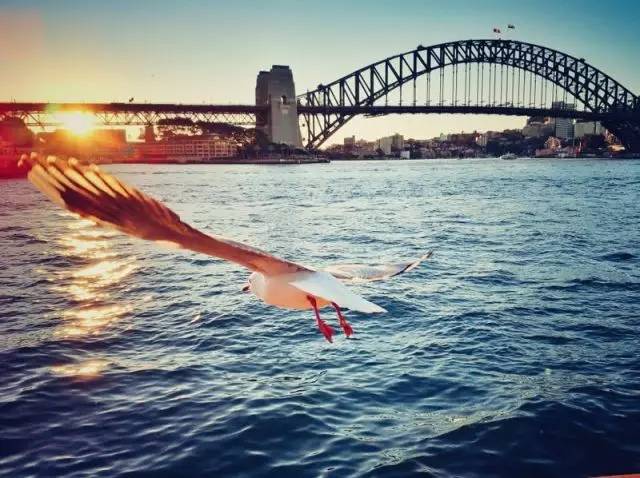 老法师的天堂！从拍照小白到摄影大V，你只差一个悉尼的距离
