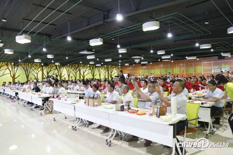 陕西眉县福泽猕猴桃果品有限公司,陕西猕猴桃种植生产