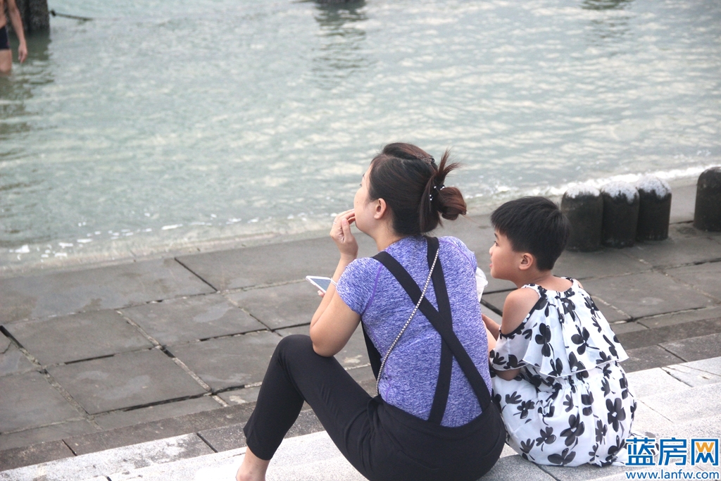 厦门海湾公园蓝眼泪最佳观赏时间,厦门看海滩哪里最好