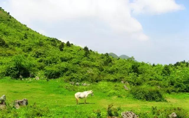 苏马荡避暑胜地是在哪个县,7月的苏马荡避暑真实感受