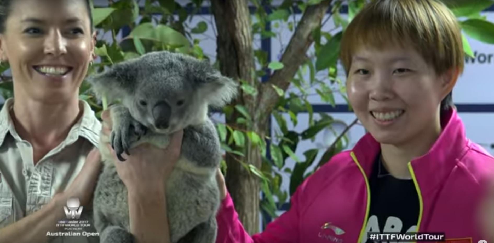 澳洲公开赛乒乓球丁宁与孙颖莎,澳洲公开赛陈梦与王曼昱比赛