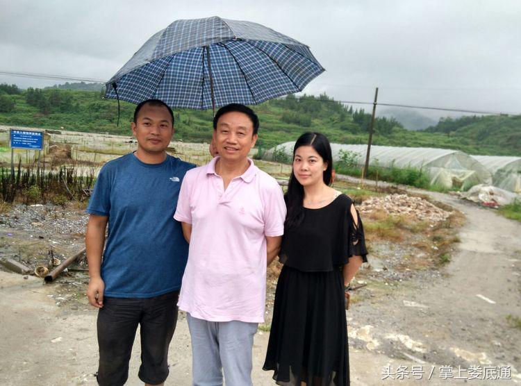 湖南郴州青蛙养殖,湖南青腾青蛙养殖