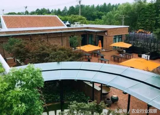 农场经营模式成功案例,农场经营模式和思路