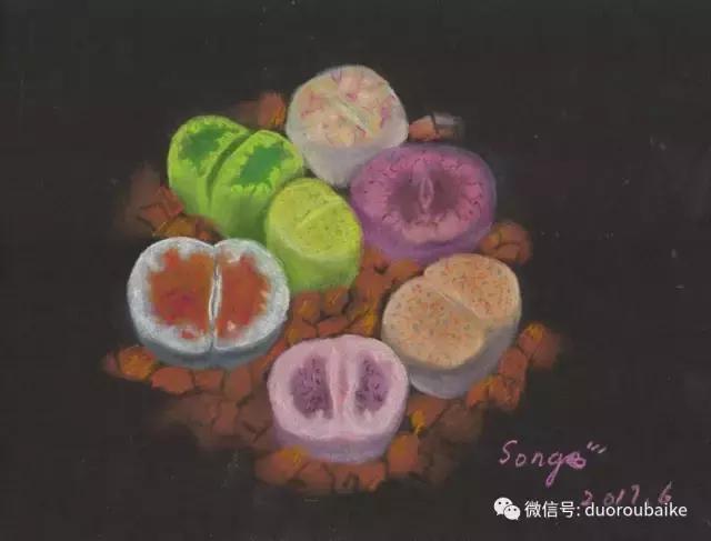 多肉手绘作品,寻找最美中国人绘画