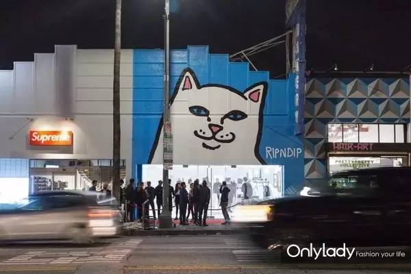 这个网红靠滑板征服全人类？咳咳是时候承认活得不如猫了