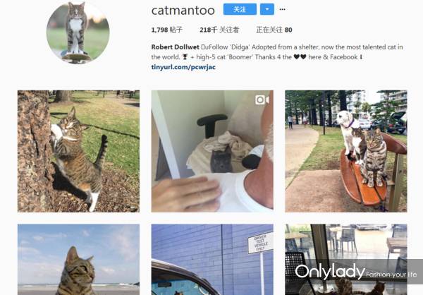 这个网红靠滑板征服全人类？咳咳是时候承认活得不如猫了