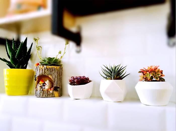 马甲线和瘦腿小技巧,别人的马甲线和我的小肚腩