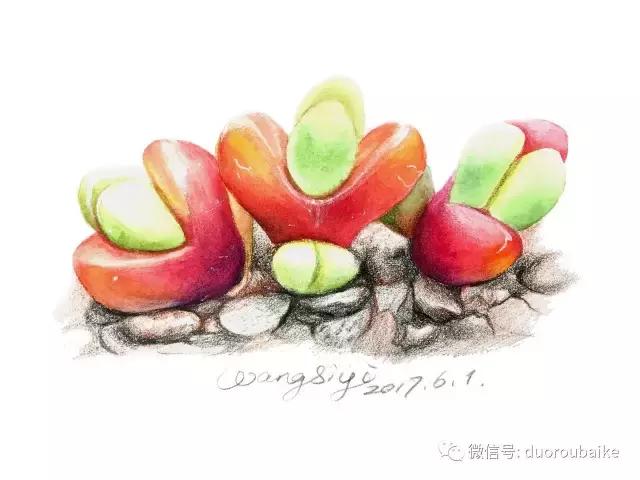 澶氳倝缁樼敾浣滃搧缁勫浘,澶氳倝鎻掔敾浣滃搧娆ｈ祻