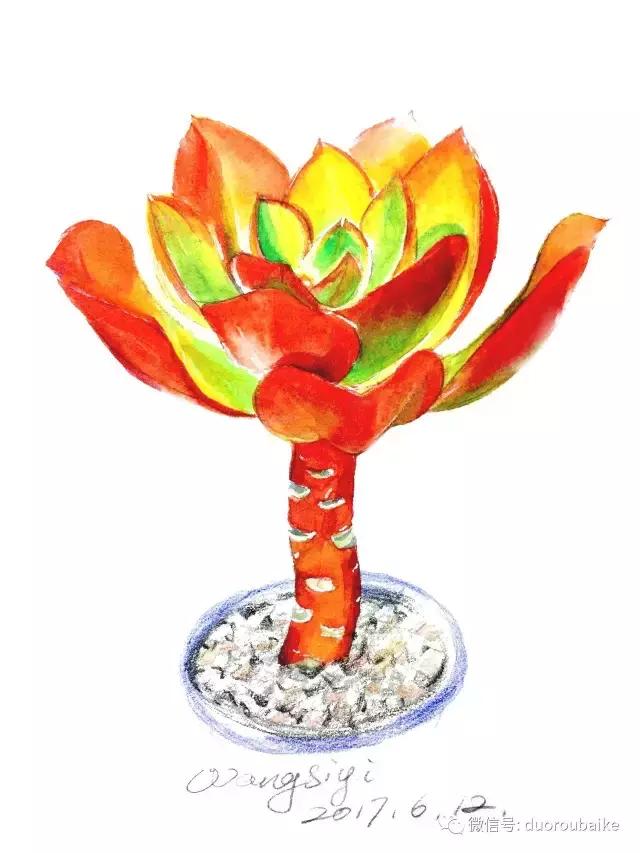 澶氳倝缁樼敾浣滃搧缁勫浘,澶氳倝鎻掔敾浣滃搧娆ｈ祻