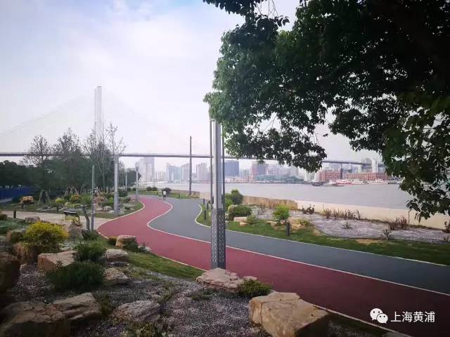 黄浦滨江和徐汇滨江跑步,上海欢乐健康跑