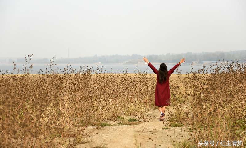 岁月如歌美人仍然的诗句,岁月如斯美人仍然