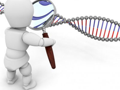 尿毒症肾移植随便谁都可以吗,尿毒症病人做肝移植