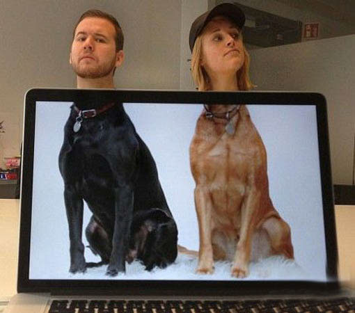 手机掉厕所里了怎么去味,手机掉厕所了该如何处理