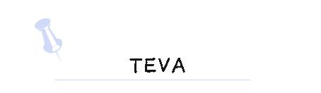 作为一个有品位的女人,品质生活从一双拖鞋也可以开始