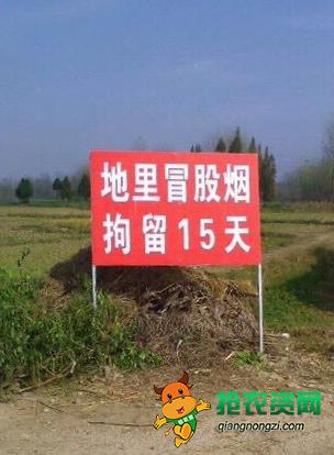 不让农民烧秸秆的视频,不让烧秸秆农民找哪个部门解决