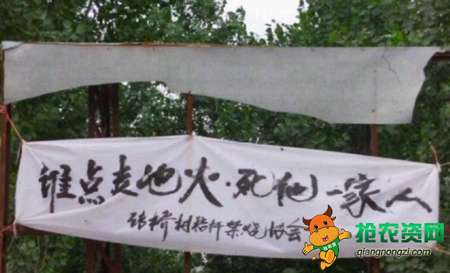 不让农民烧秸秆的视频,不让烧秸秆农民找哪个部门解决