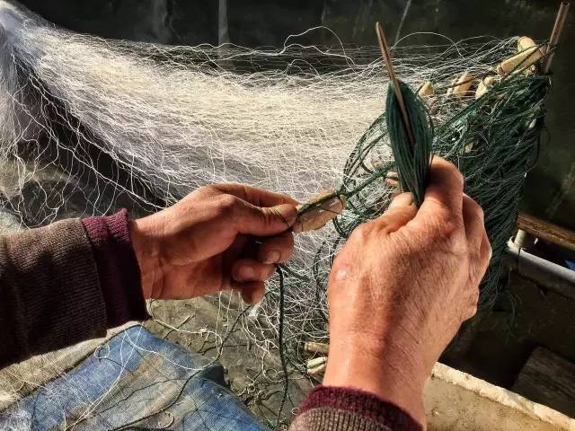 原来用手机就能拍出这么美的照片,手机拍出来最美的照片