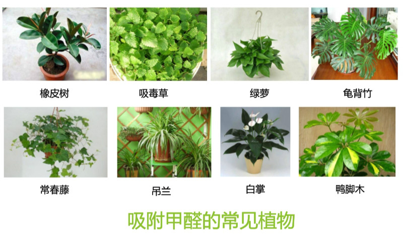 装修好一年橱柜还是有味道,刚装修的橱柜怎么去除异味