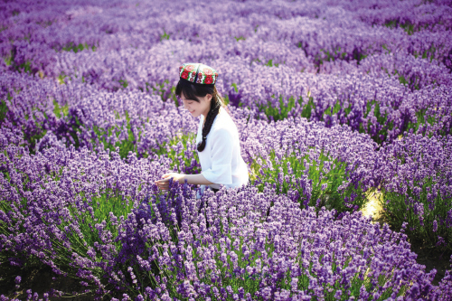 嘉兴一对情侣辞职环中国“摩旅”，女孩说，“摩旅”很多时候是一种信仰，或是肉体的苦修