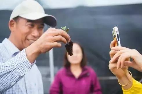 天天吃油，没听过“品油师”？这位北大博士告诉你