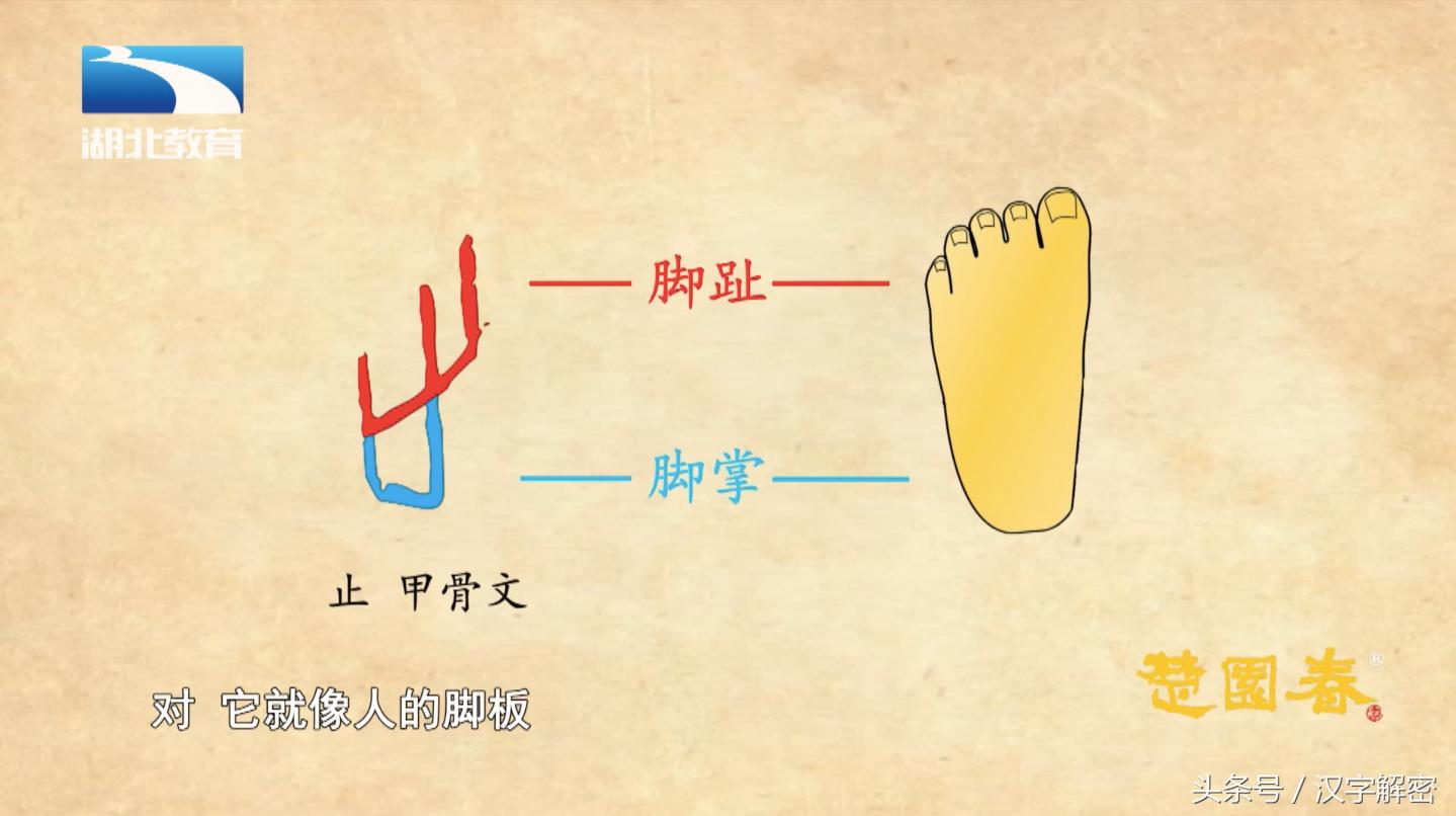 姹夊瓧鍗氬ぇ绮炬繁瑙ｅ瘑,姹夊瓧鍗氬ぇ绮炬繁璋滃簳