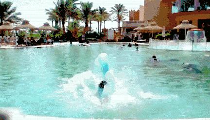 郫都室外游泳池,郫都区对外开放的游泳池