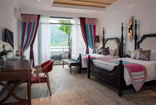 七星岩夏天的荷花图片,七星岩景区有荷花吗