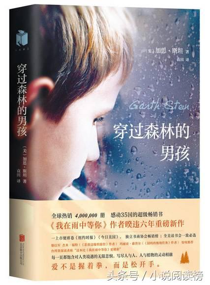 九本高质量古言甜文小说推荐,好看的外国文学小说