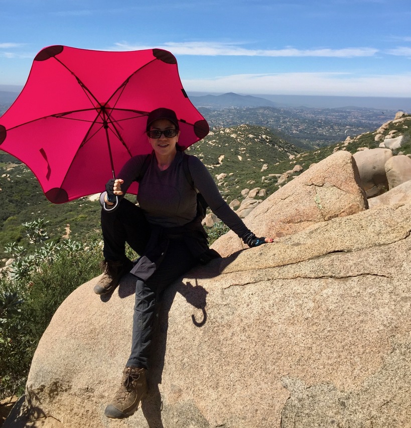 夏季遮阳伞新款,夏天必备全自动遮阳伞