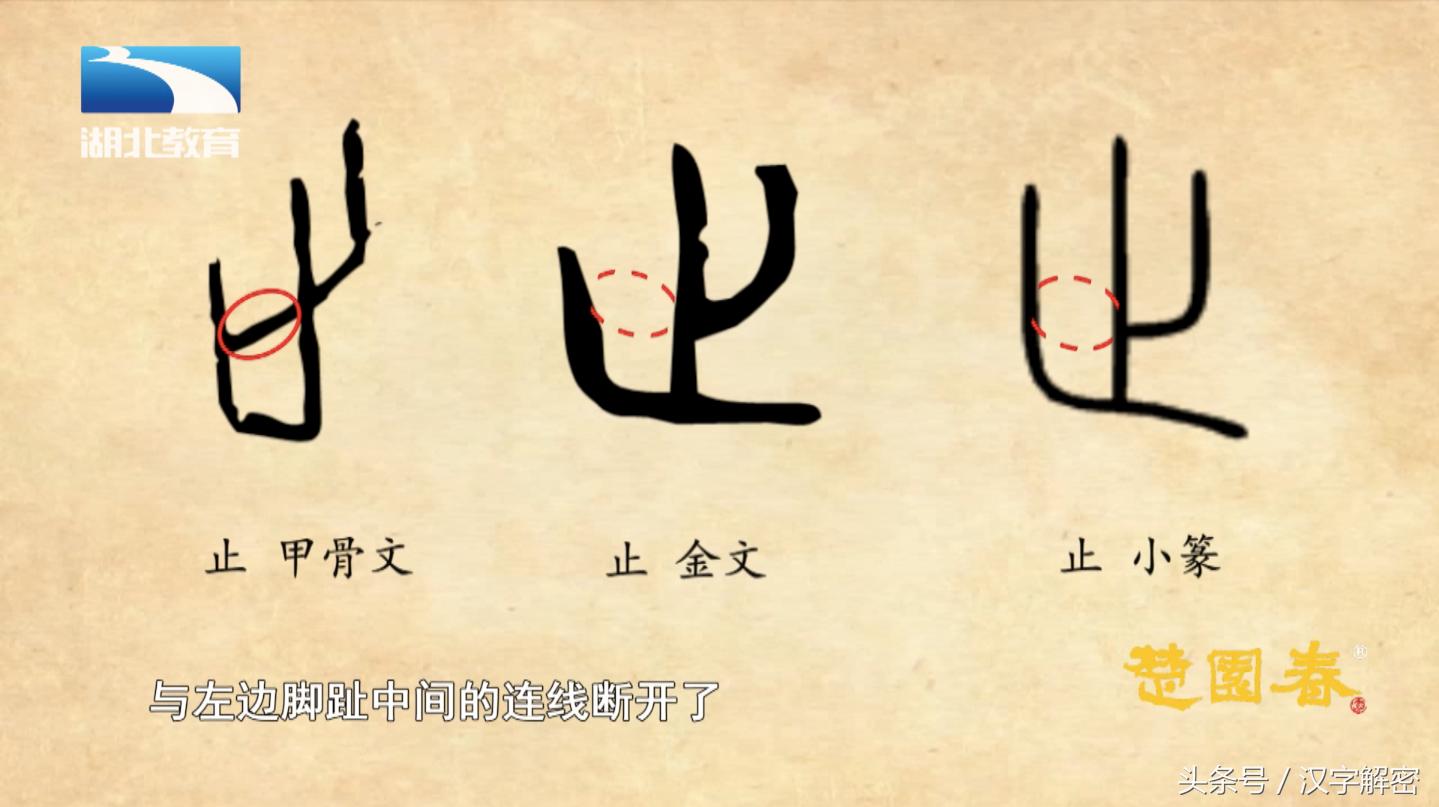 姹夊瓧鍗氬ぇ绮炬繁瑙ｅ瘑,姹夊瓧鍗氬ぇ绮炬繁璋滃簳