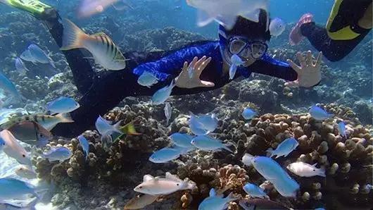 三亚潜水基地,三亚有哪些不容错过的潜水基地