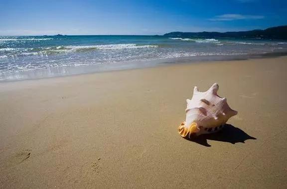 三亚潜水基地,三亚有哪些不容错过的潜水基地