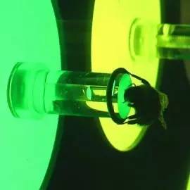 8岁熊孩子,8岁的熊孩子