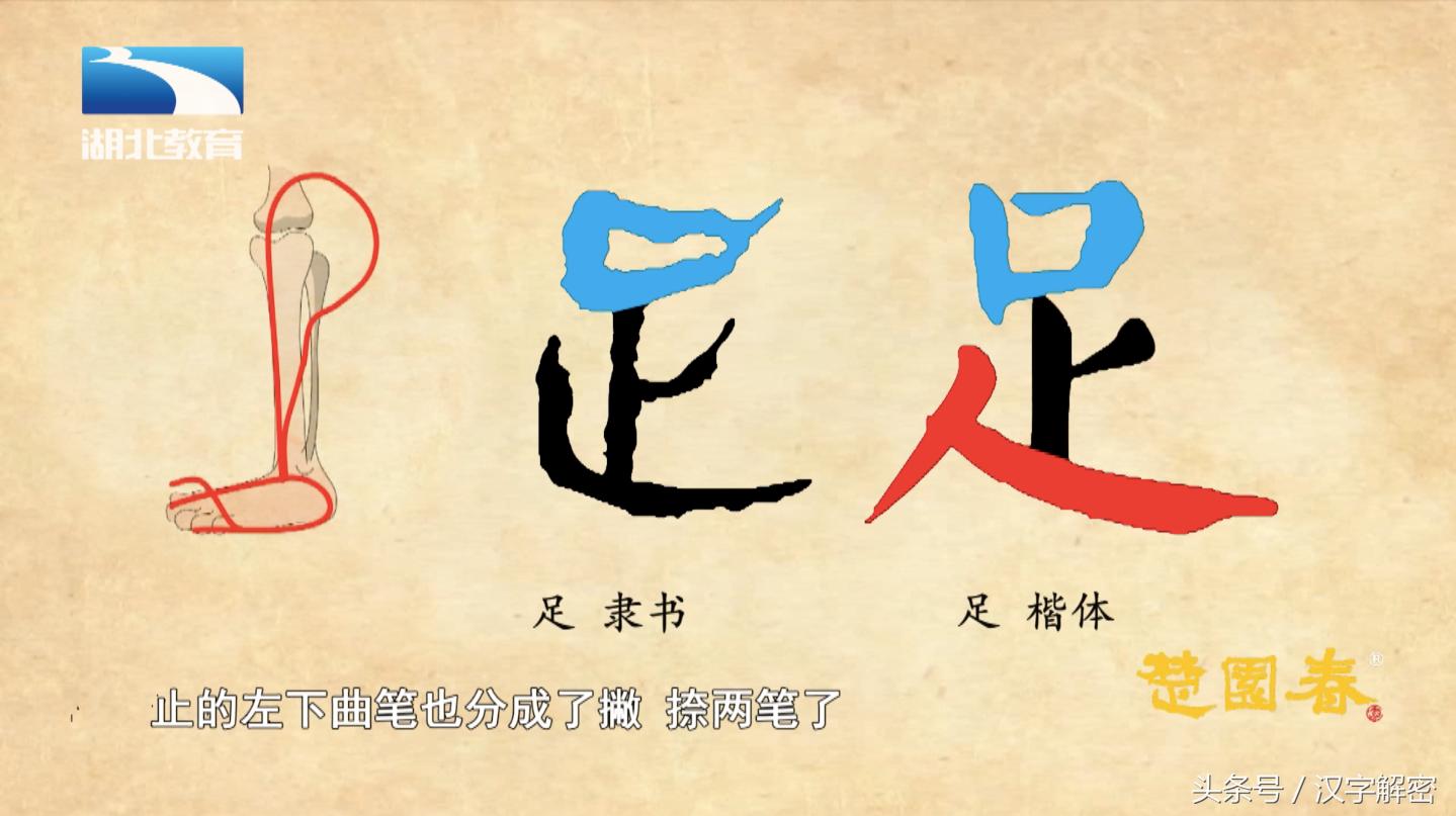 姹夊瓧鍗氬ぇ绮炬繁瑙ｅ瘑,姹夊瓧鍗氬ぇ绮炬繁璋滃簳