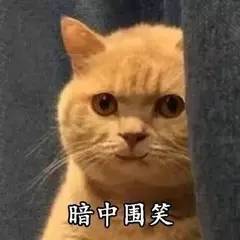 比起只用30块唇膏直播的伊能静，化妆我只服包文婧！